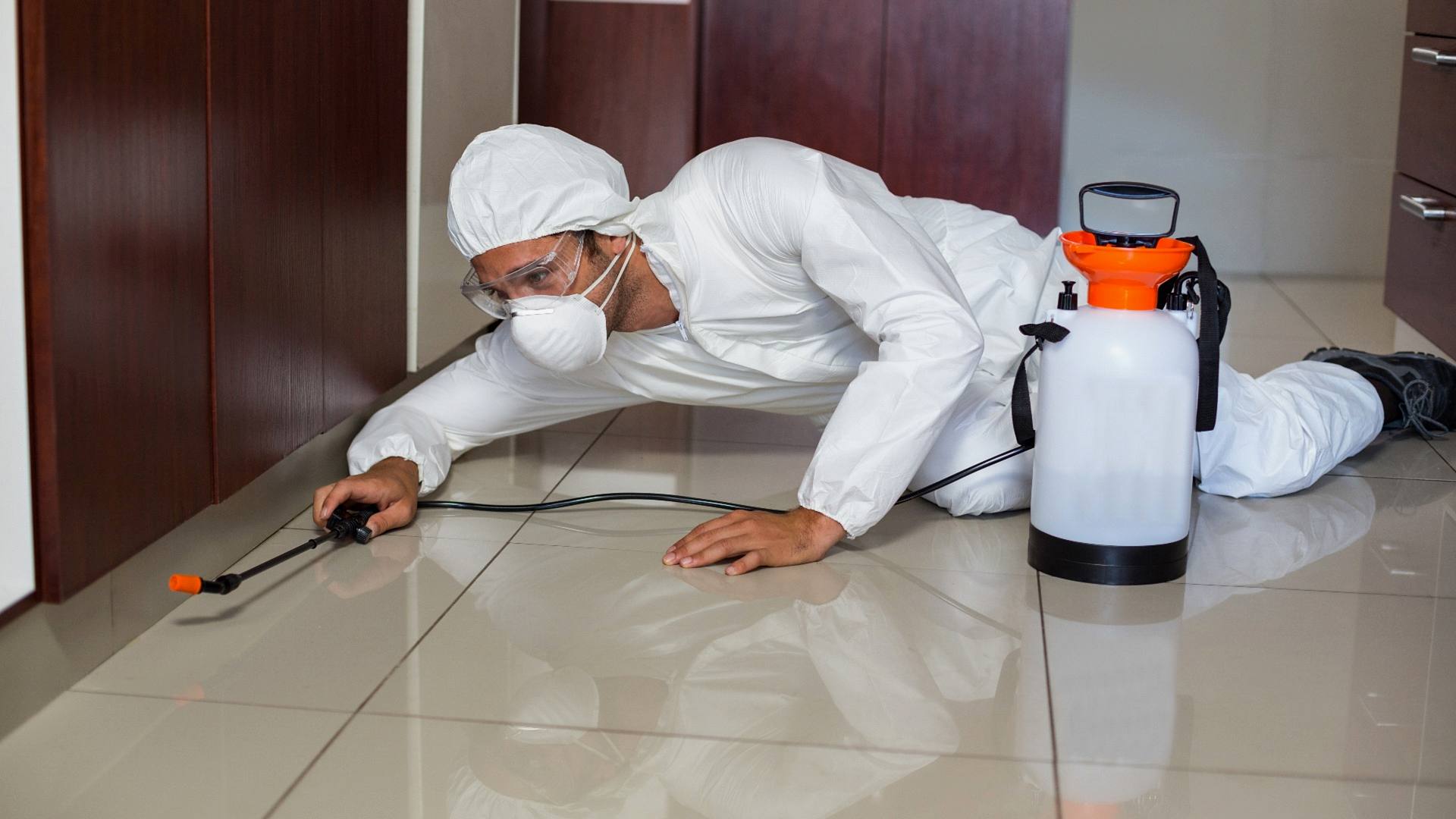 Böcek İlaçlama Hizmetimiz